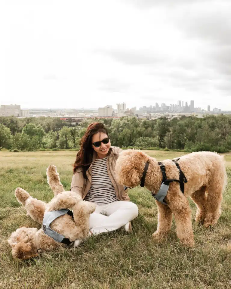 A Dog Parent’s Guide to Traveling Well