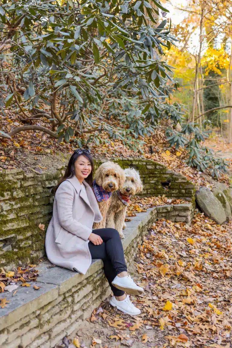 Dog-Friendly Gems of Washington, DC