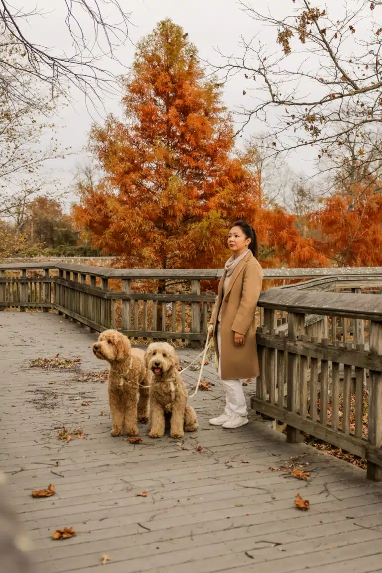 Traveling with Dogs — Why We Love Seeing the World Through Their Eyes