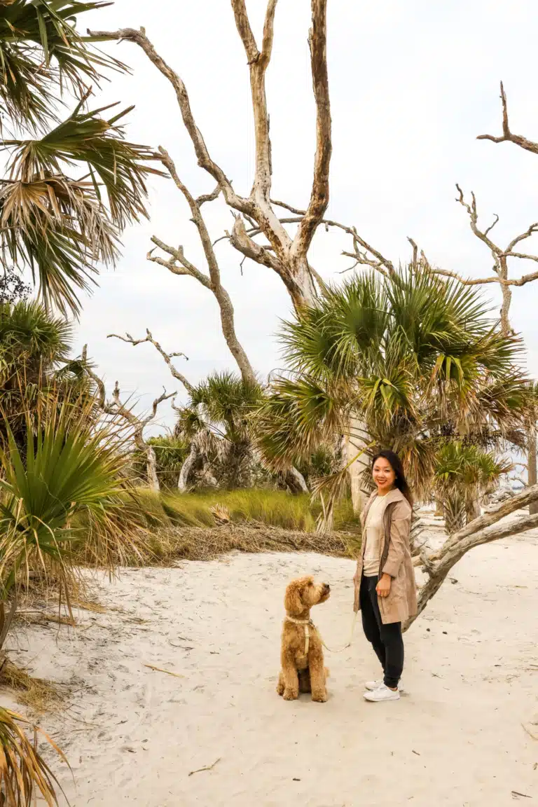Driftwood Beach in Jekyll Island: A Wild, Wind-Shaped Gem