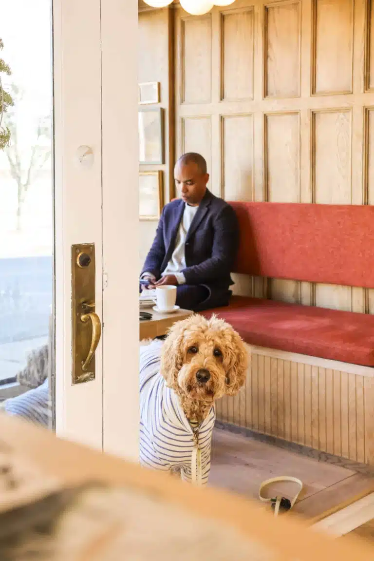 A Dog-Friendly Guide to Kingston, New York: Cafés, History, and Creative Charm