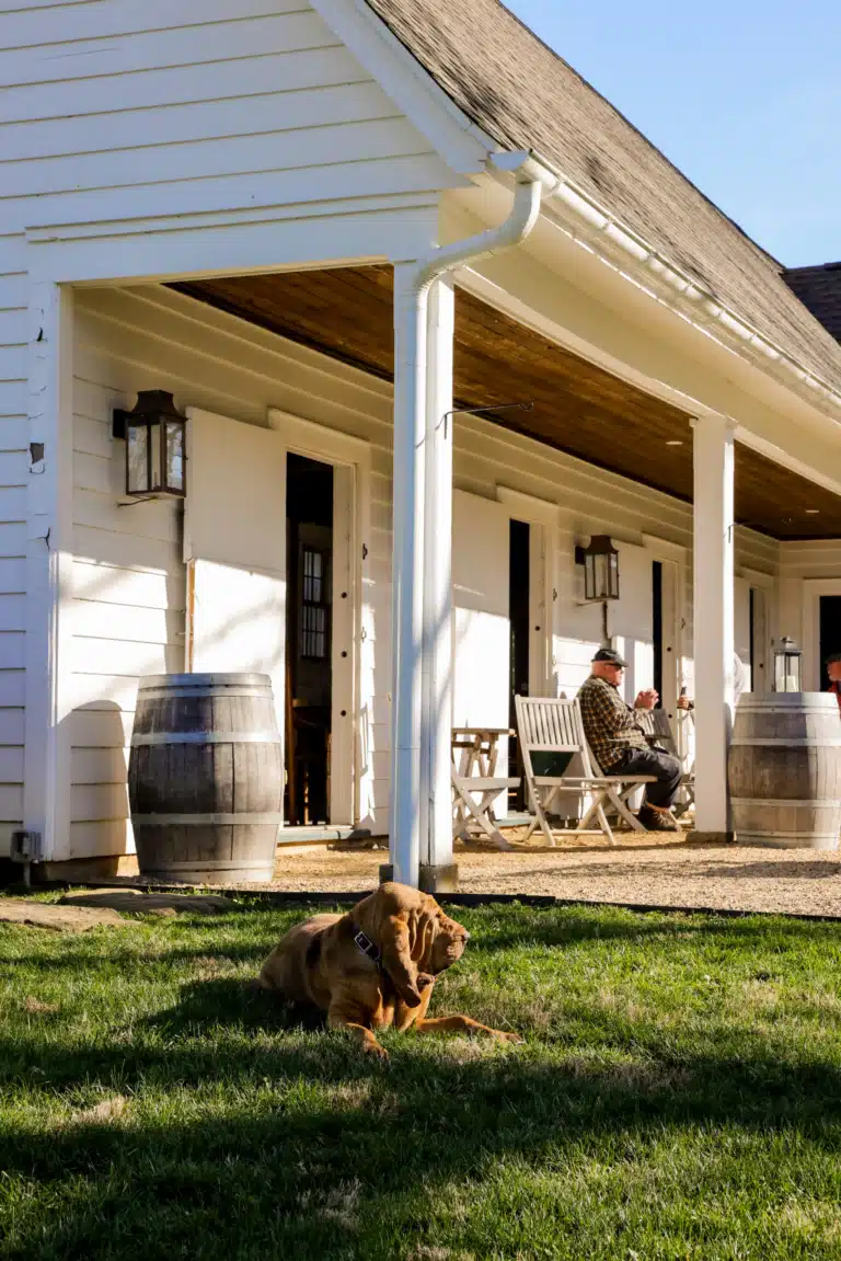 A Guide to Bath County, Virginia: The Most Underrated County in the State